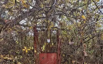 Auction image Парцел (ПИ, УПИ, двор)