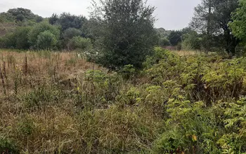Auction image Land for building