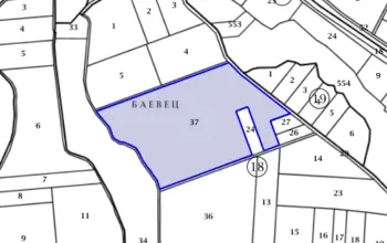 Auction image Парцел (ПИ, УПИ, двор)