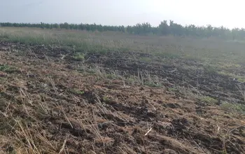 Auction image Land for building