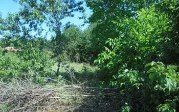 Auction image Farmland