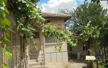 Auction image House