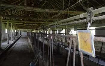 Auction image Farmland