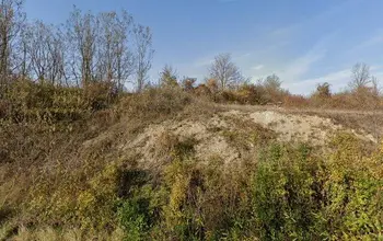 Auction image Farmland