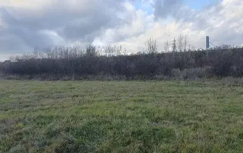 Auction image Farmland