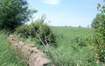 Auction image Парцел (ПИ, УПИ, двор)