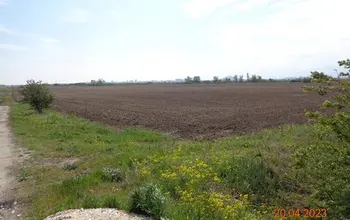 Auction image Farmland