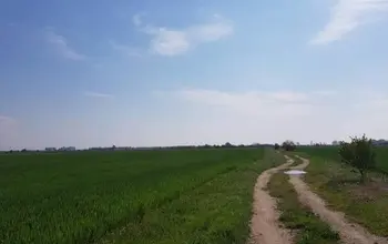 Auction image Farmland