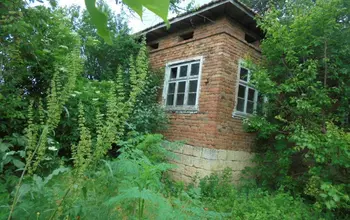 Auction image House