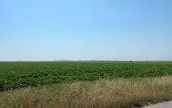 Auction image Farmland