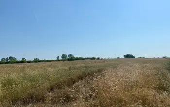 Auction image Farmland