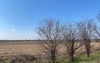 Auction image Farmland