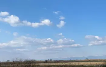 Auction image Farmland