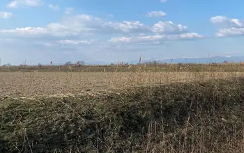 Auction image Farmland