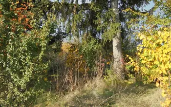Auction image Land for building