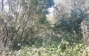 Auction image Land for building