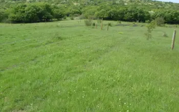 Auction image Farmland