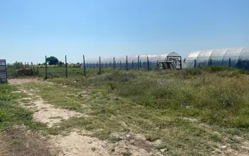 Auction image Farmland