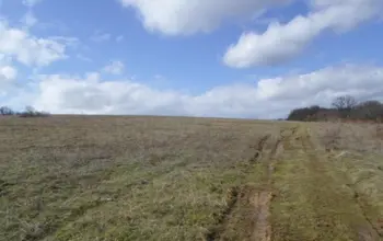 Auction image Farmland