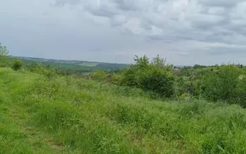 Auction image Farmland
