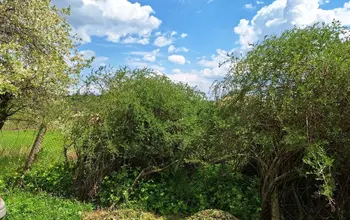 Auction image Land for building