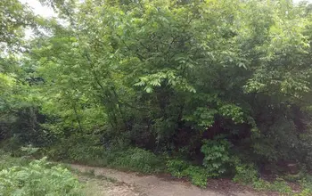 Auction image Land for building