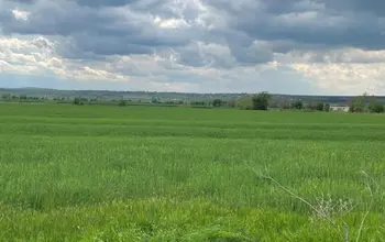 Auction image Farmland