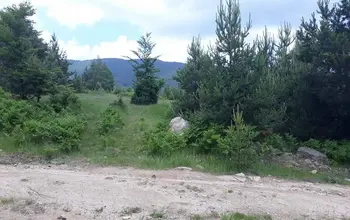 Auction image Land for building