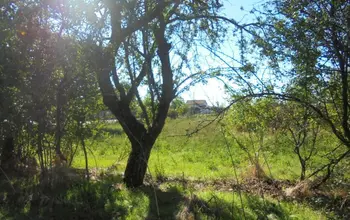 Auction image Land for building