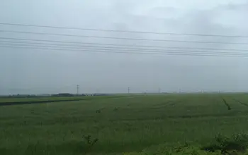 Auction image Farmland