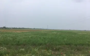 Auction image Farmland