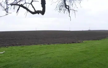 Auction image Farmland