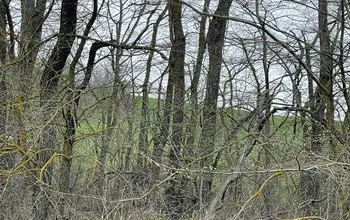 Auction image Farmland