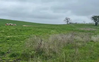 Auction image Farmland
