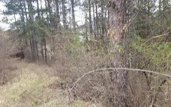 Land for building