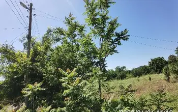 Auction image Land for building