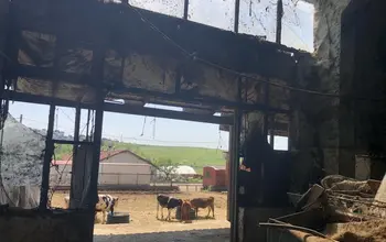 Factory, Manufacturing