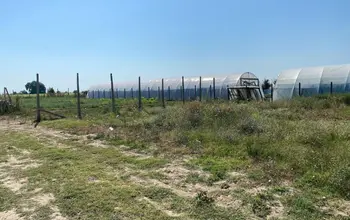 Auction image Farmland