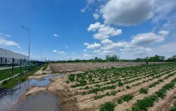 Farmland