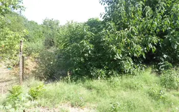 Auction image Land for building