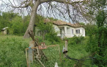 Auction image House