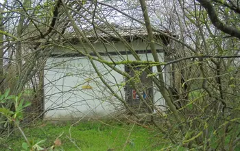Auction image House