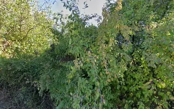 Auction image Land for building