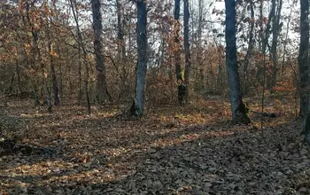 Auction image Land for building