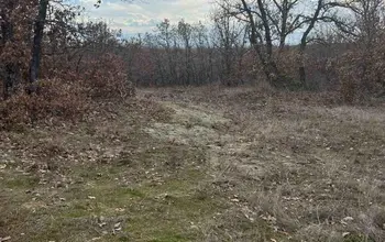 Auction image Farmland