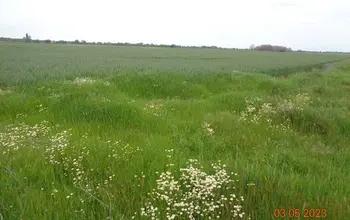 Auction image Farmland