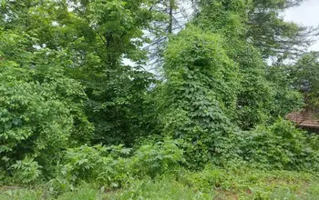 Auction image Land for building