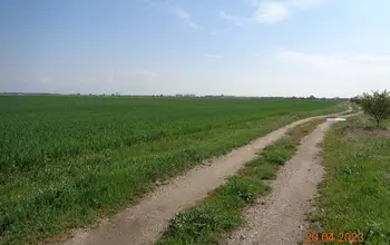 Auction image Farmland