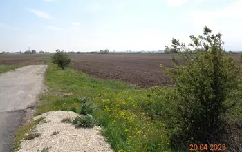 Auction image Farmland