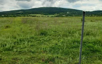 Auction image Farmland